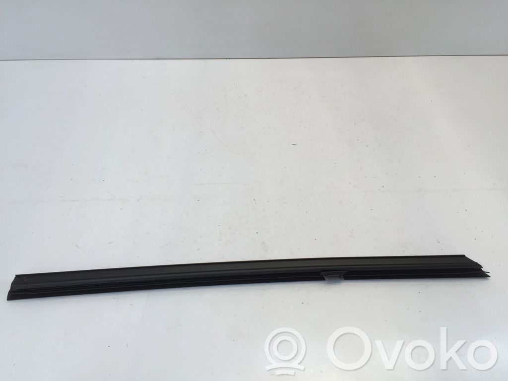 BMW 1 F40 Rear door glass trim molding 