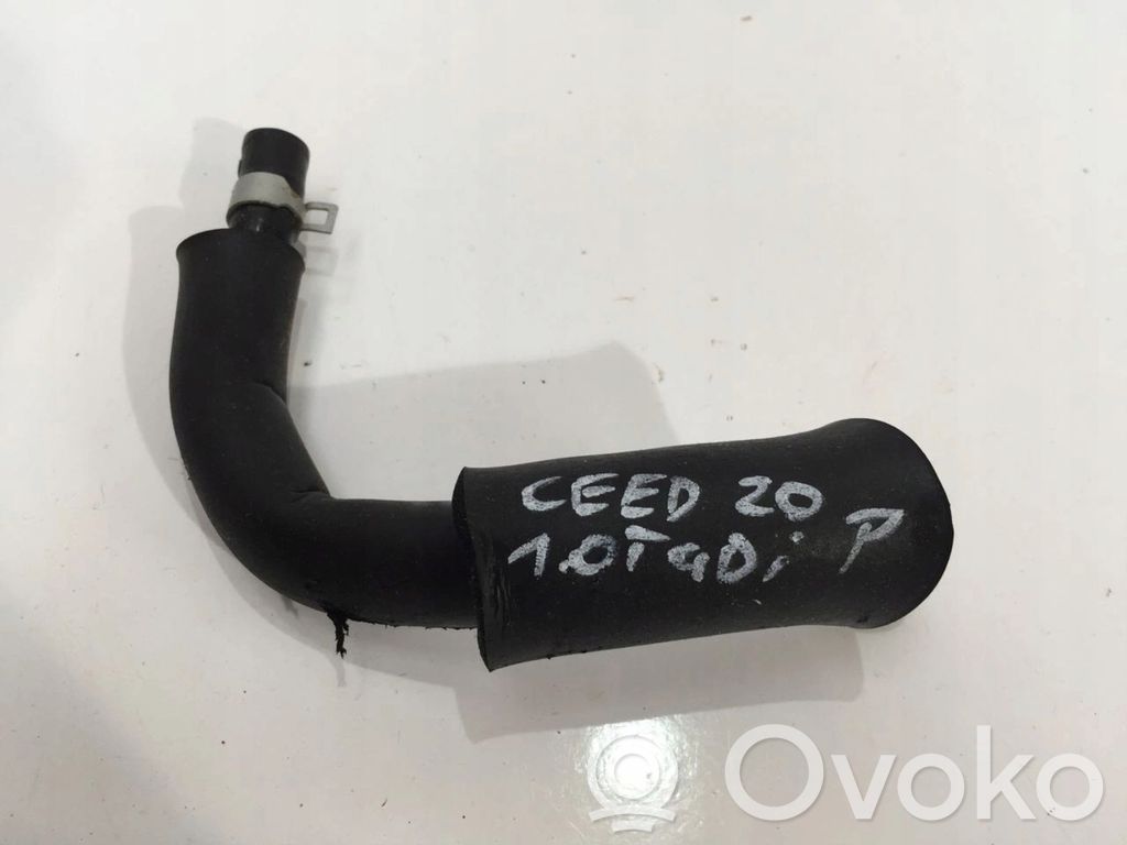 KIA Ceed Manguera/tubo de toma de aire 