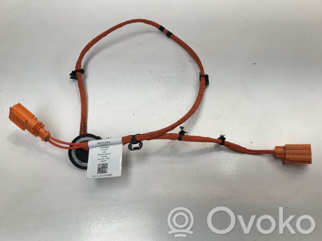 Cupra Born Other wiring loom 