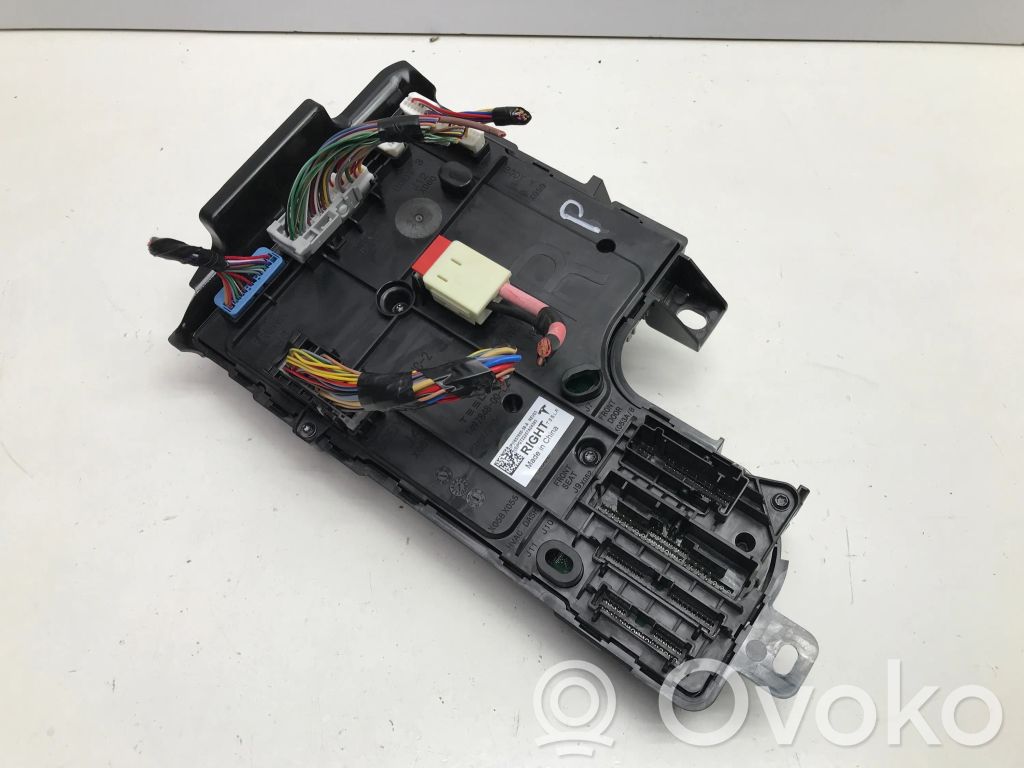 Tesla Model Y Kėbulo modulis 