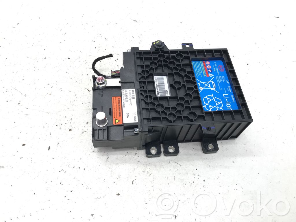 BYD Seal Car battery 