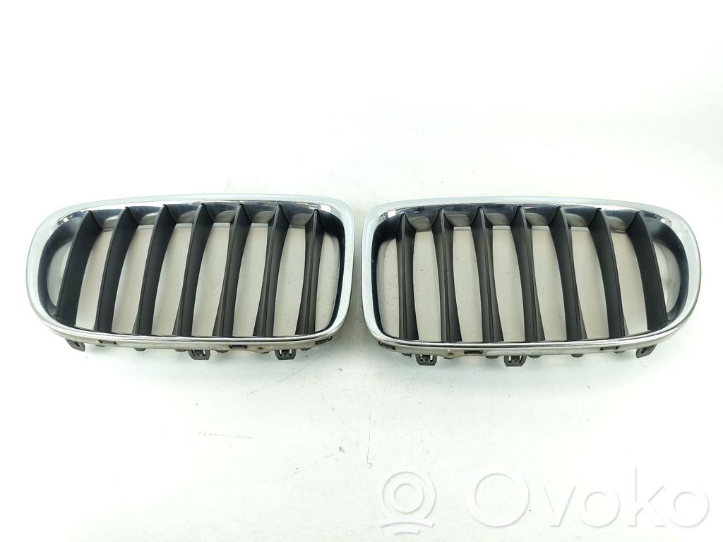 Front grill   51117347667