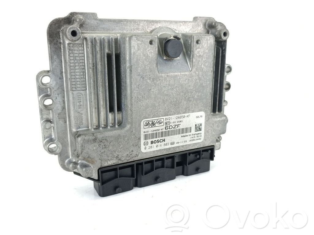 Ford Fiesta Engine control unit/module 