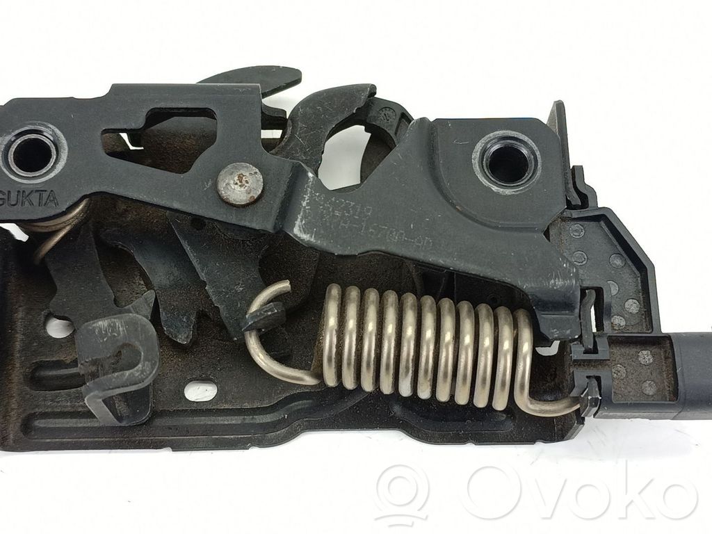 Ford Focus Tie down hook / loop 