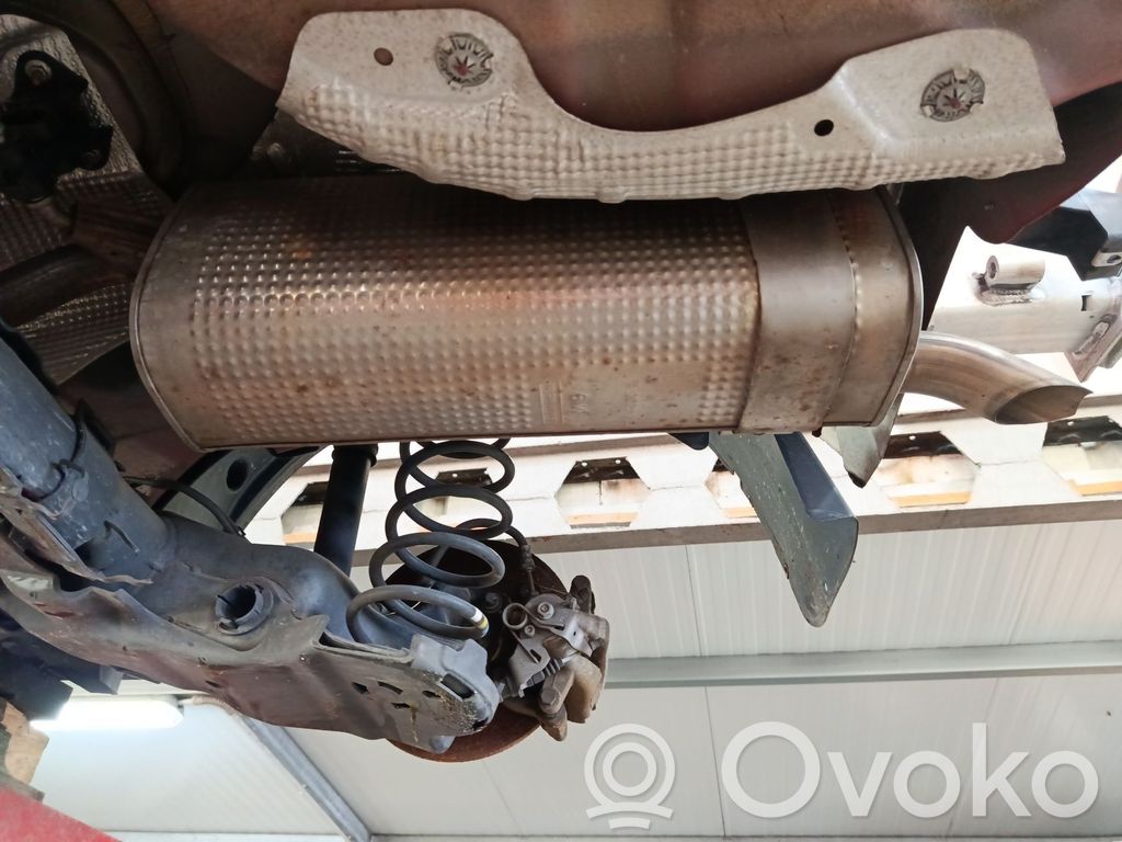 Citroen C3 Galinė pūslė 