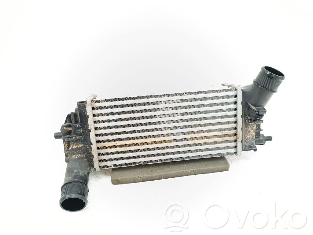 Radiador intercooler   L1BG6D624AB