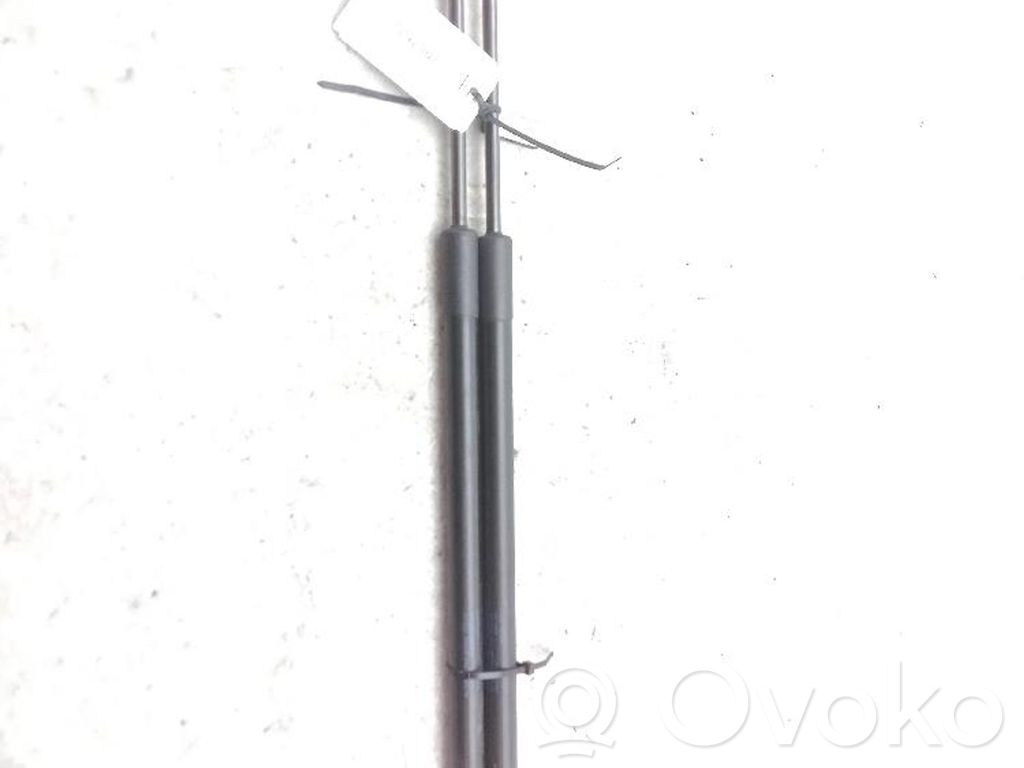 Seat Leon (5F) Rear window strut damper 