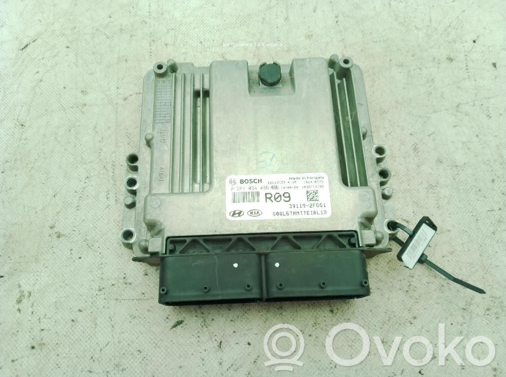 KIA Sportage Other control units/modules 