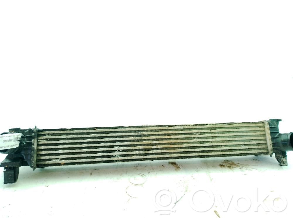 Citroen Jumper Intercooler radiator 