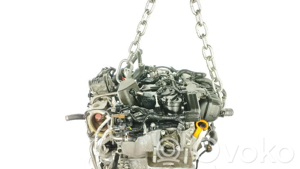 Variklis   G3LF