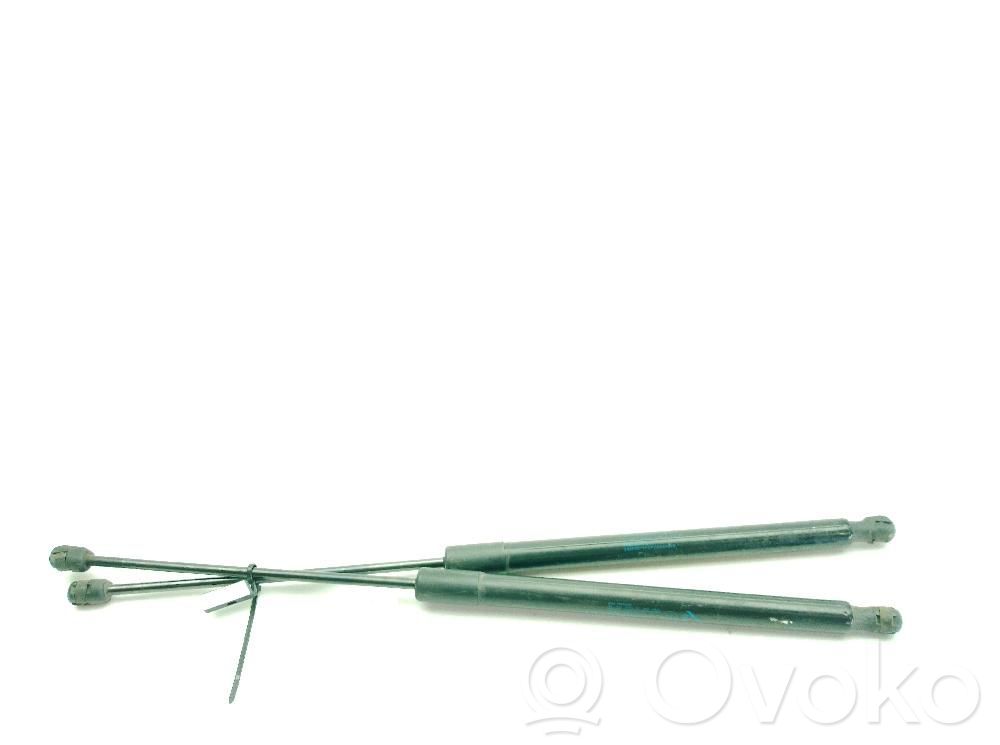 Fiat Tipo Rear window strut damper 