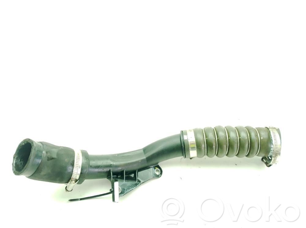 Ford Transit Interkūlerio žarna (-os)/ vamzdelis (-iai) 
