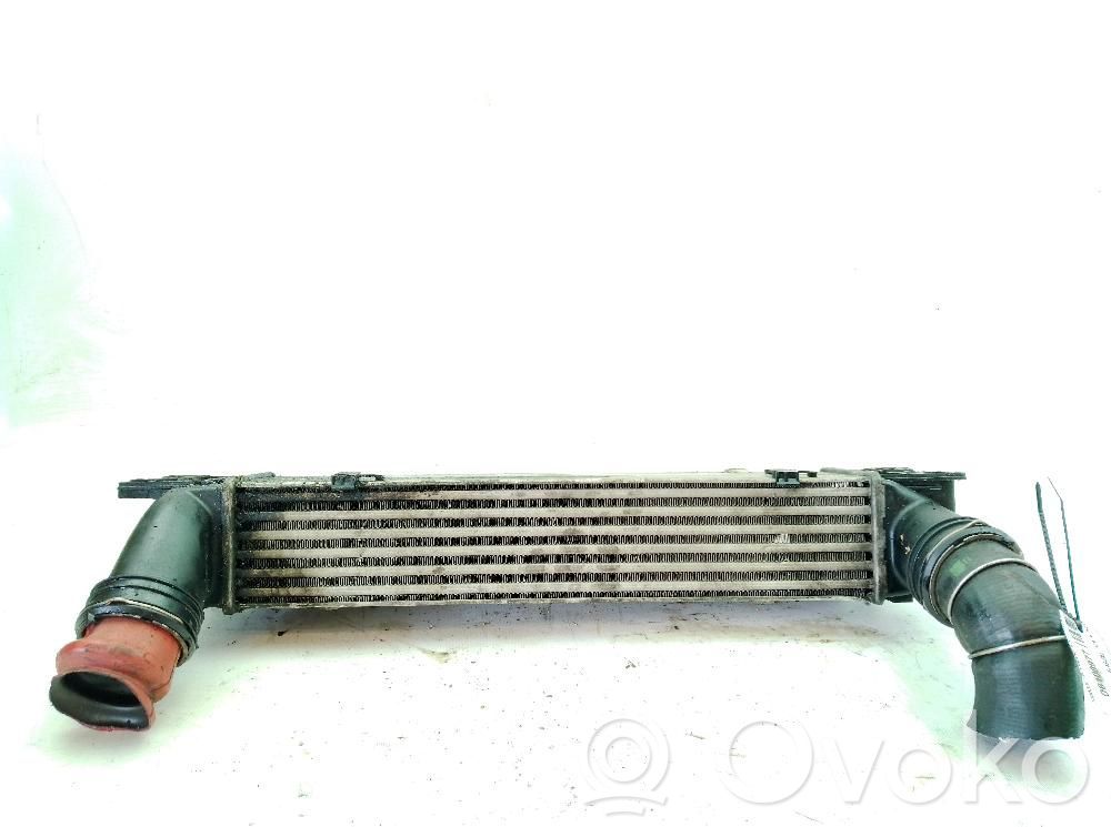 Radiador intercooler   17517800680