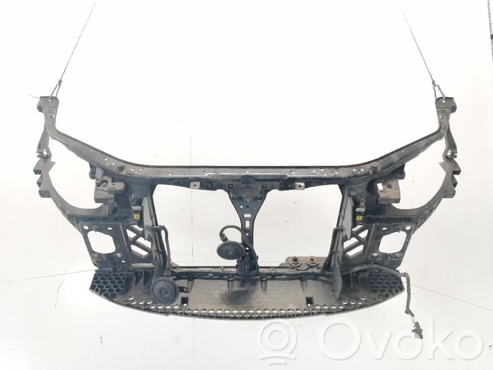 Radiatoru panelis   641011H300