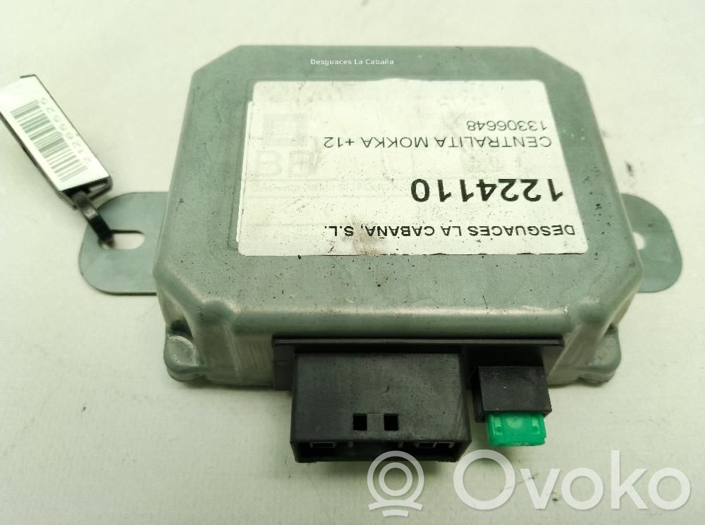 Autres unités de commande / modules   13306648