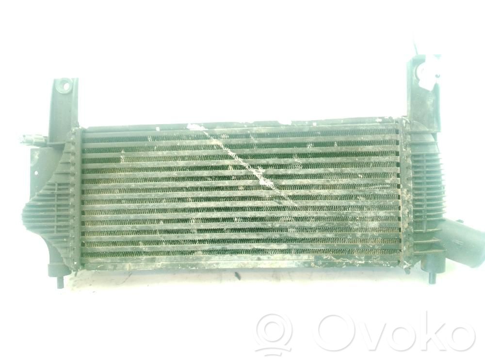Radiatore intercooler   14461EB360