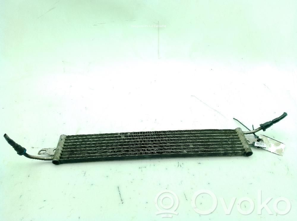 Land Rover Range Rover Sport L320 Radiatore di raffreddamento 