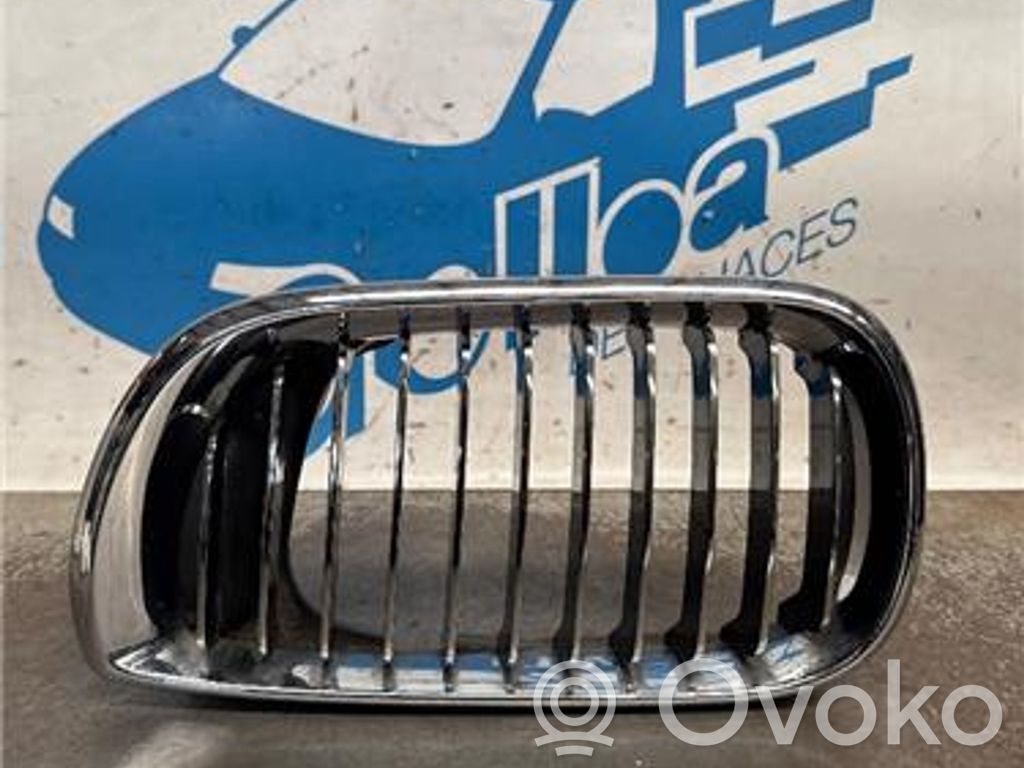 Alpina B3 E46 Etupuskurin alempi jäähdytinsäleikkö 