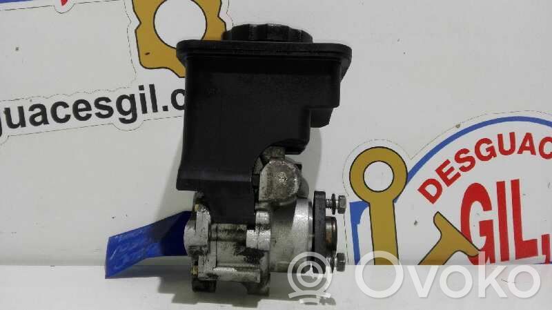 Power steering pump   7691900513,9784