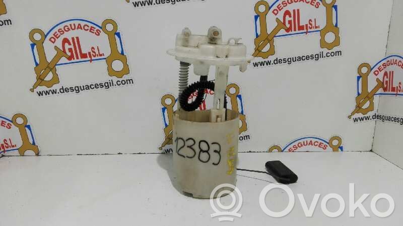 Peugeot 206 In-tank fuel pump 