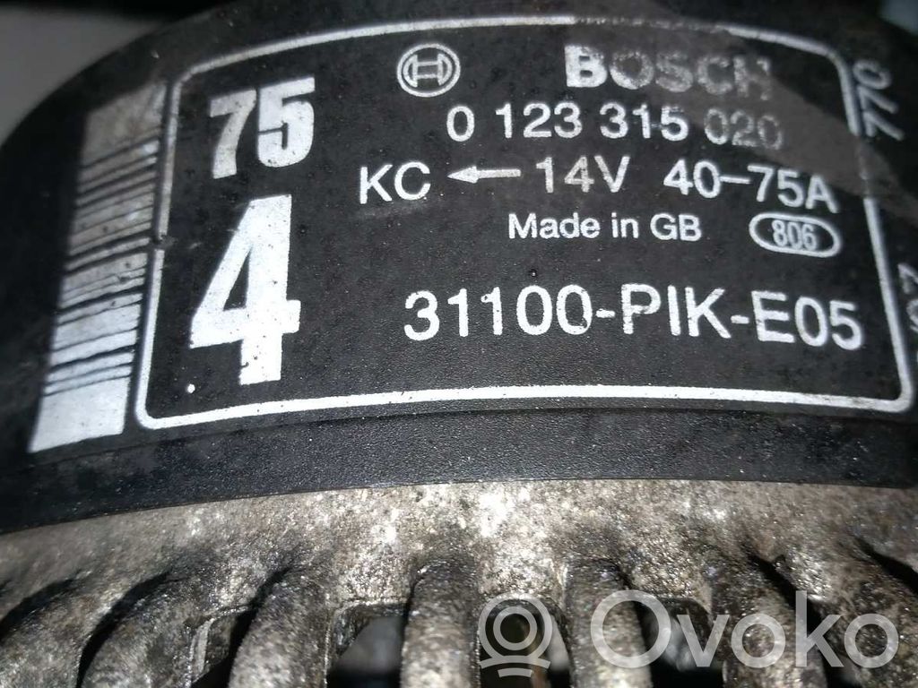 Ģenerators   31100PIKE05,44553