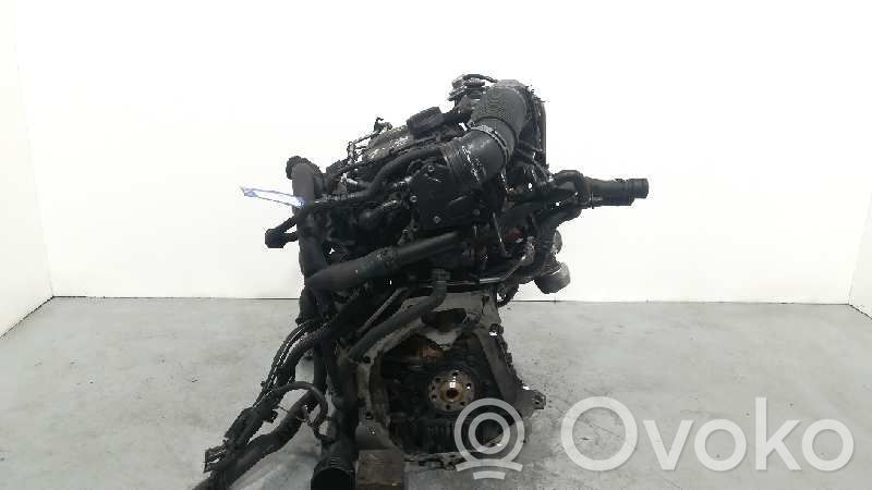 Motor   BJB,72904