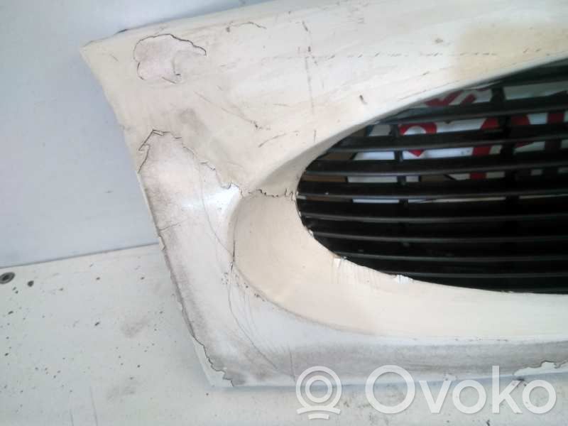 Ford Fiesta Front grill 