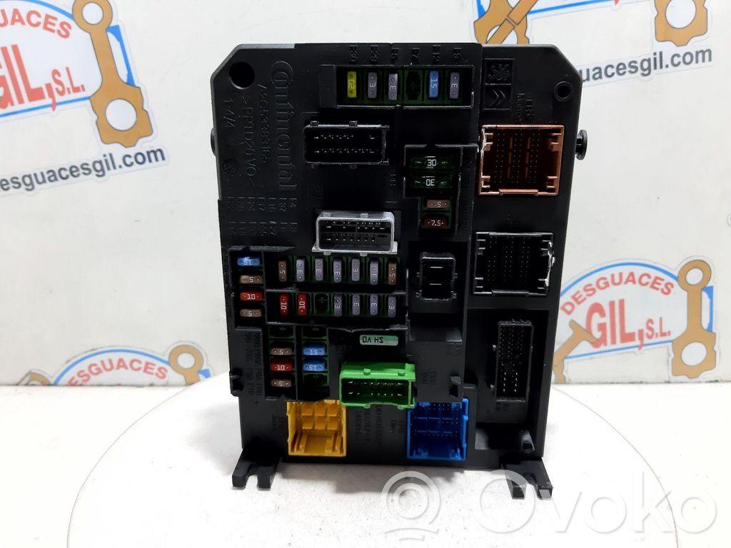 Fuse module   9665547480,119242