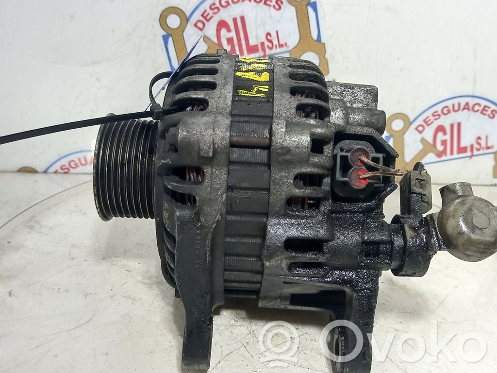 Alternador   RF5C,133474