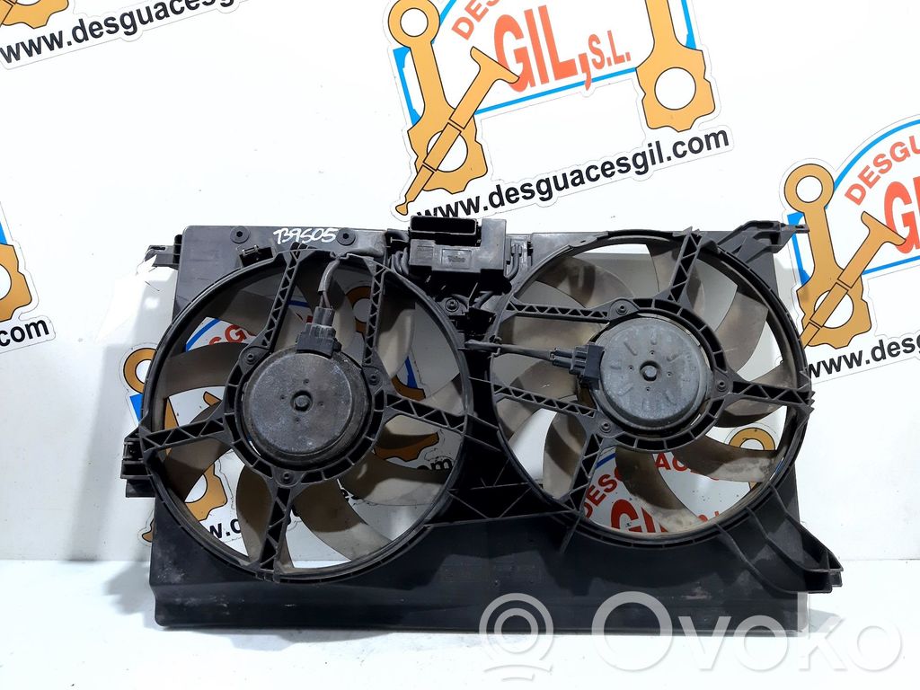 Elektrolüfter   874706R,139505