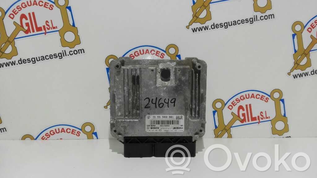 Engine control unit/module   E5955593981,24649