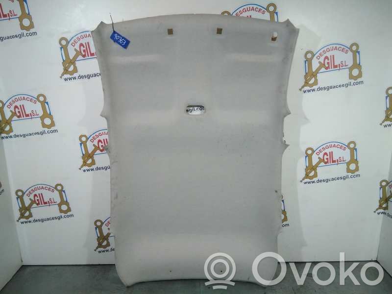 Citroen C3 Headlining 