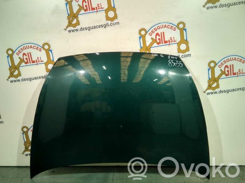 Motorhaube   85755