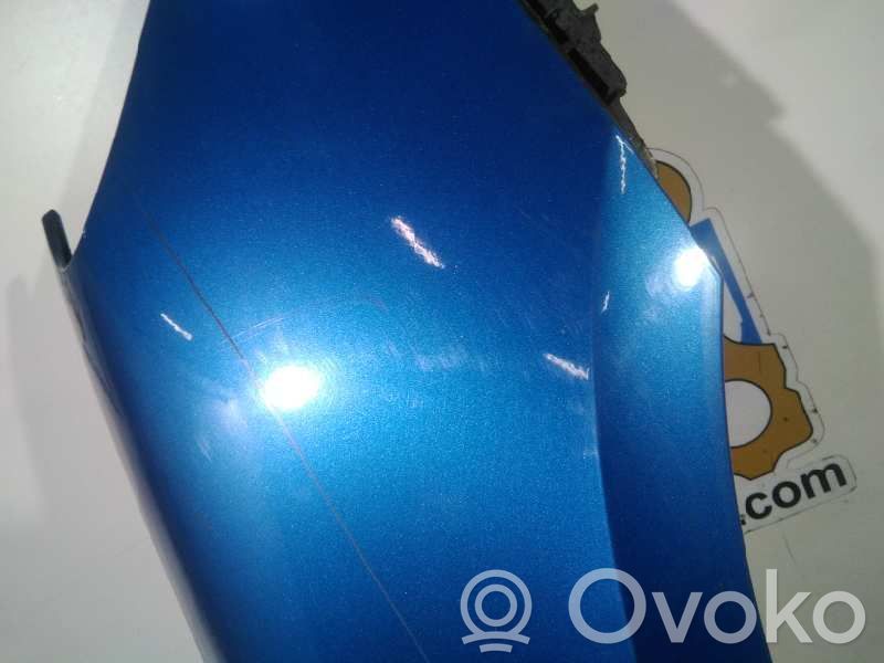 Peugeot 307 Fender 