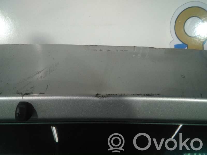 Tailgate/trunk/boot lid   99116
