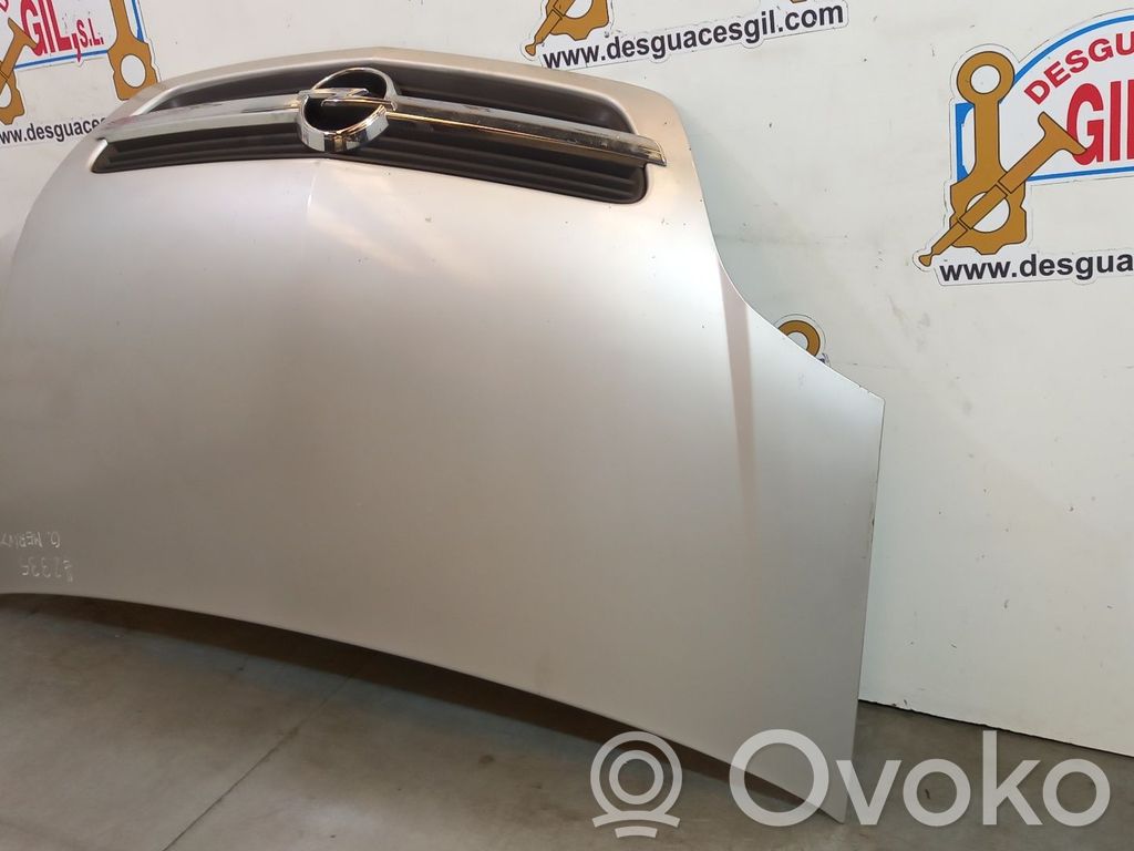 Capó/tapa del motor   124013