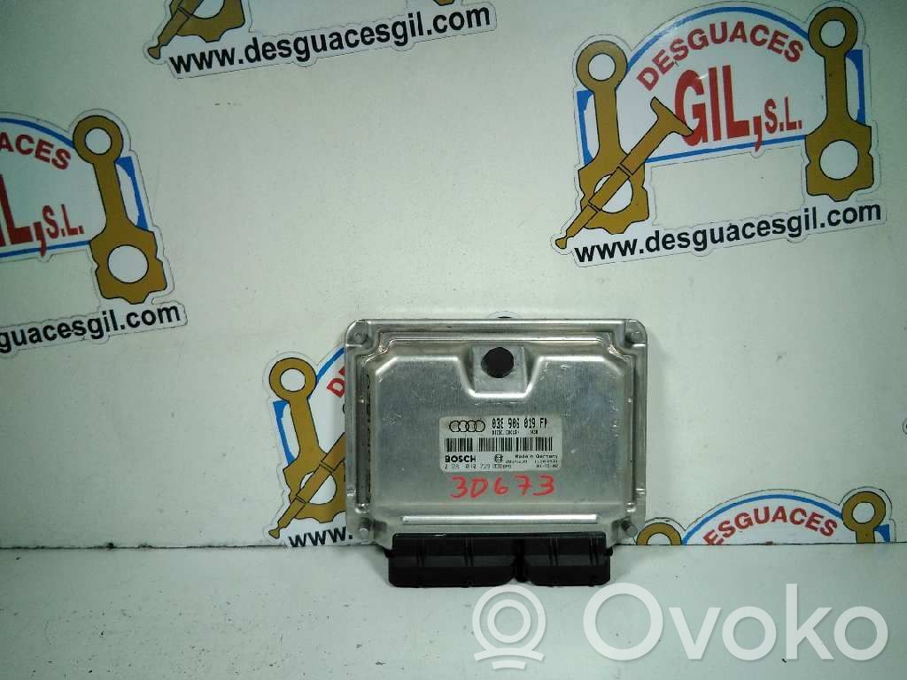 Engine control unit/module   038906019FP,30673
