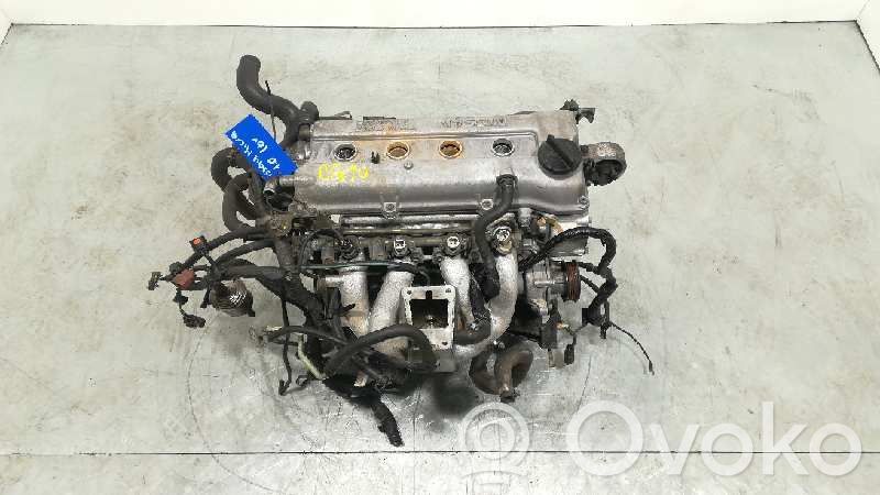 Motor   CG10,79227