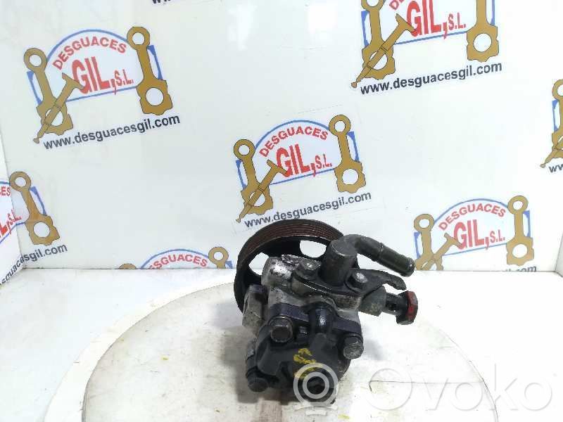 Hyundai Accent Power steering pump 