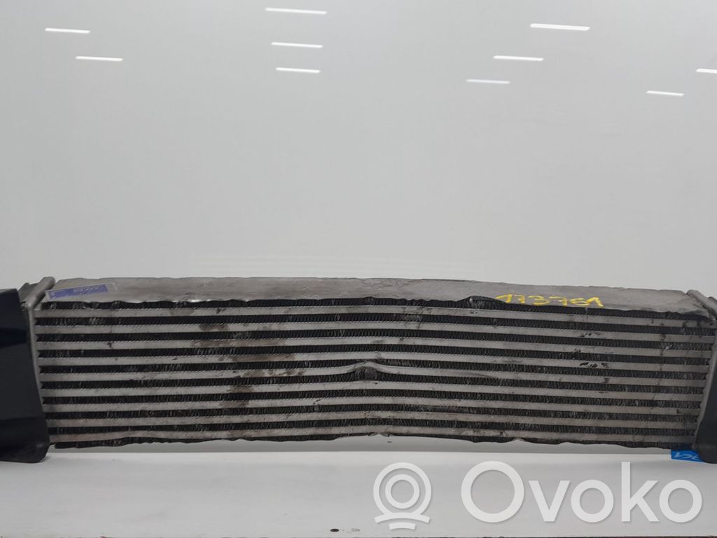 Intercooler radiator   173761