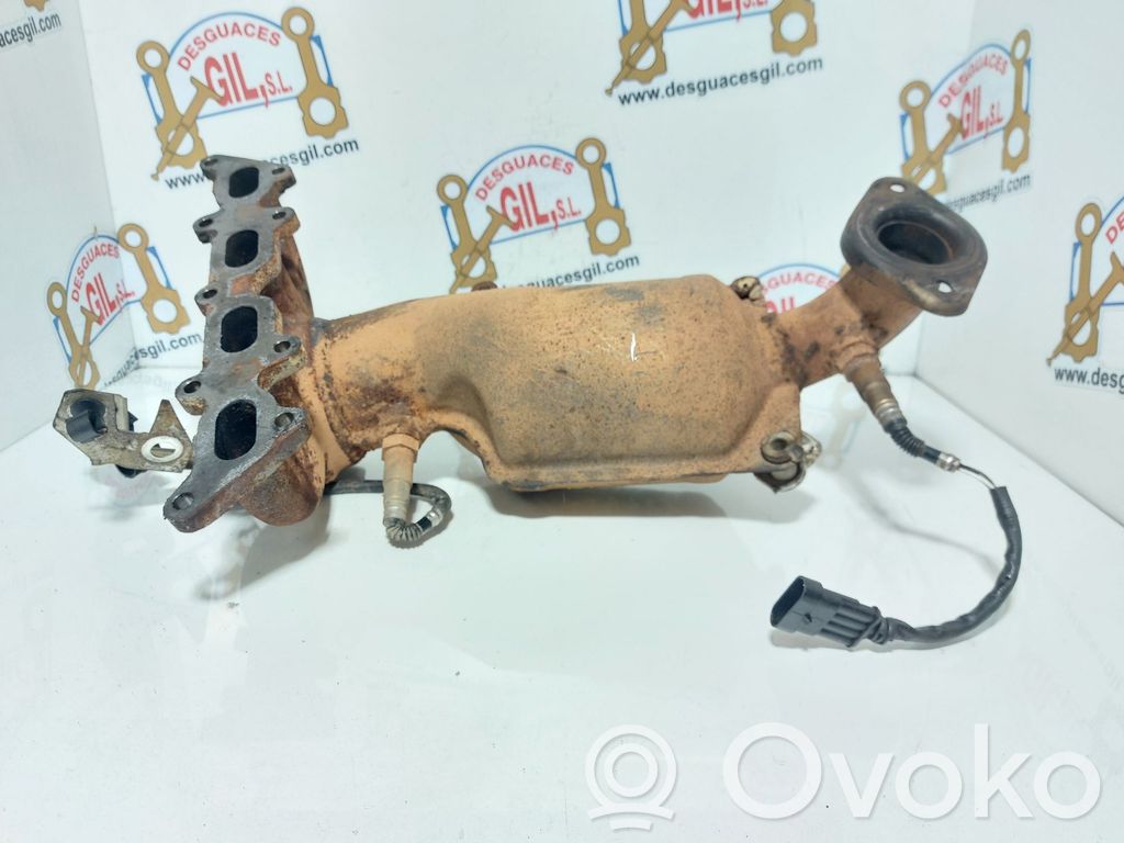 Filtr cząstek stałych Katalizator / FAP / DPF   9CJ595,124812