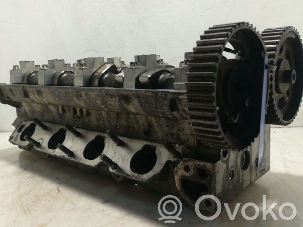 Galvutė   90501968,182542