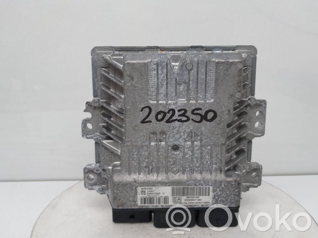 Engine control unit/module   9675391480,202350