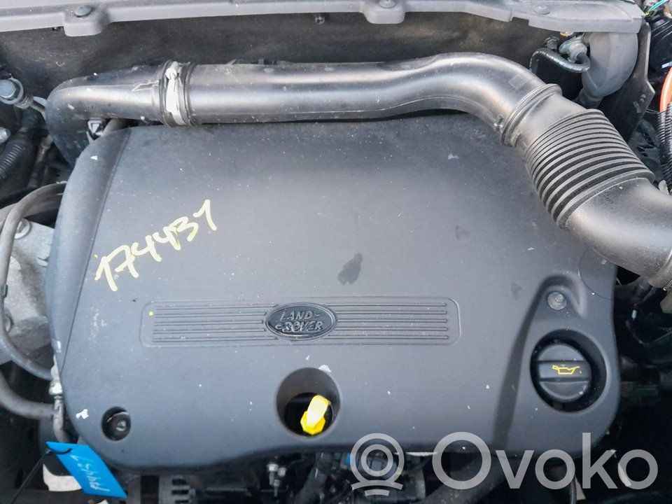 Motor   224DT,174431