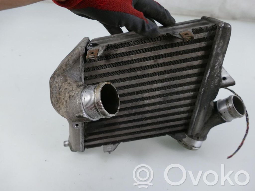 Audi A8 S8 D3 4E Interkūlerio radiatorius 