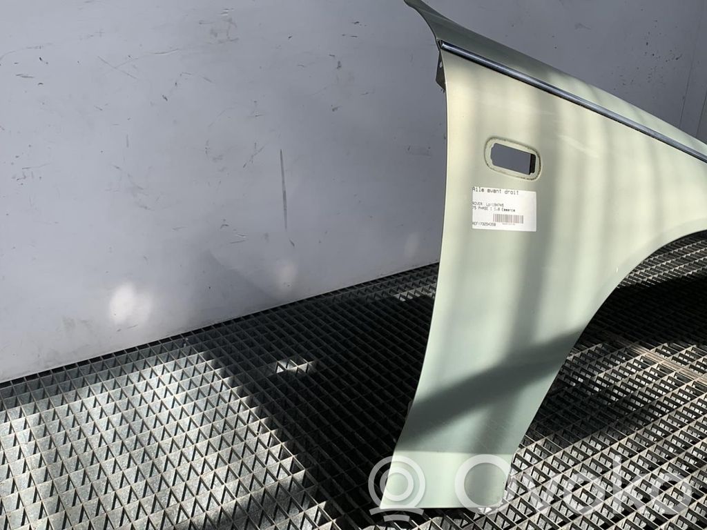 Rover 75 Fender 