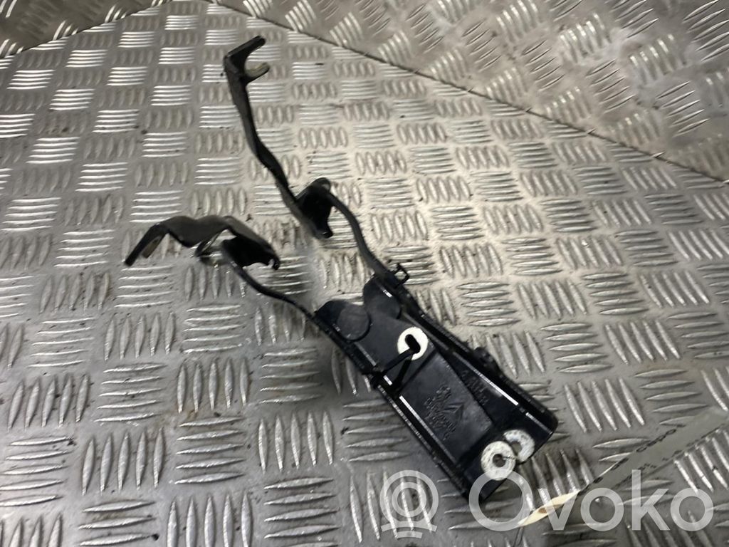 Citroen C3 Picasso Balamale capotă 