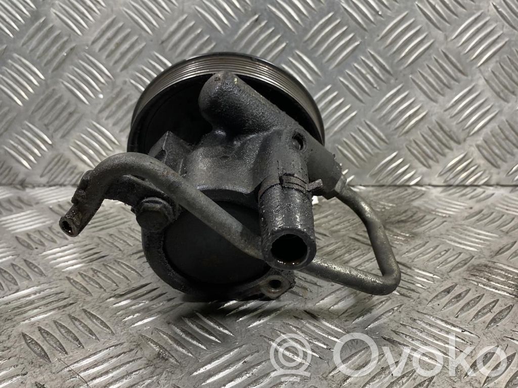 Pompa servosterzo   491106541R
