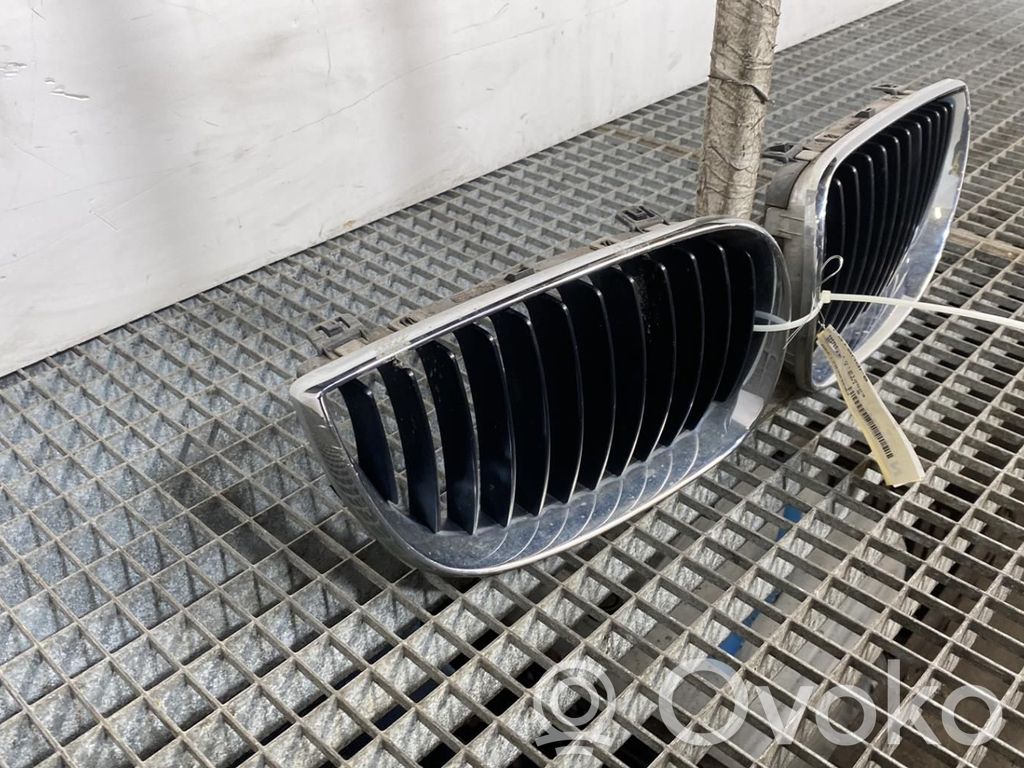 Front grill   51137128614