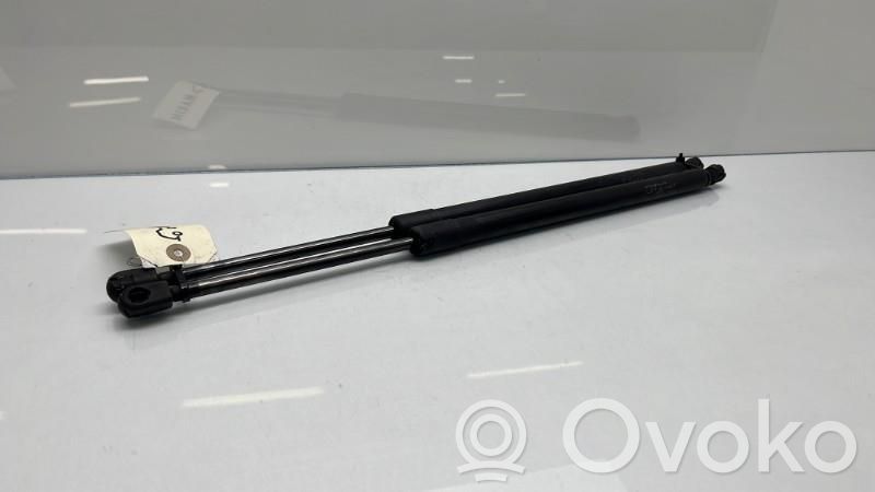 Mercedes-Benz ML W164 Amortizor hayon 